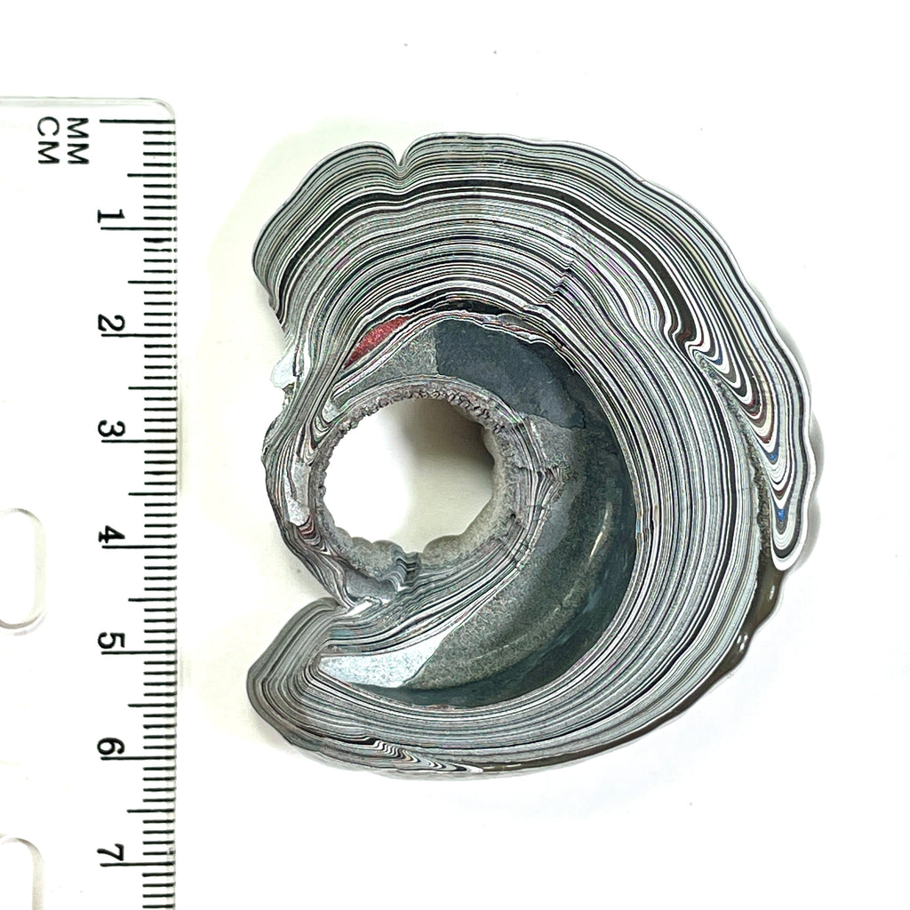 DVH Fordite Specimen Donut Buck Hole Polished Face Michigan Chv Frd Jp (6663) - DVHdesigns