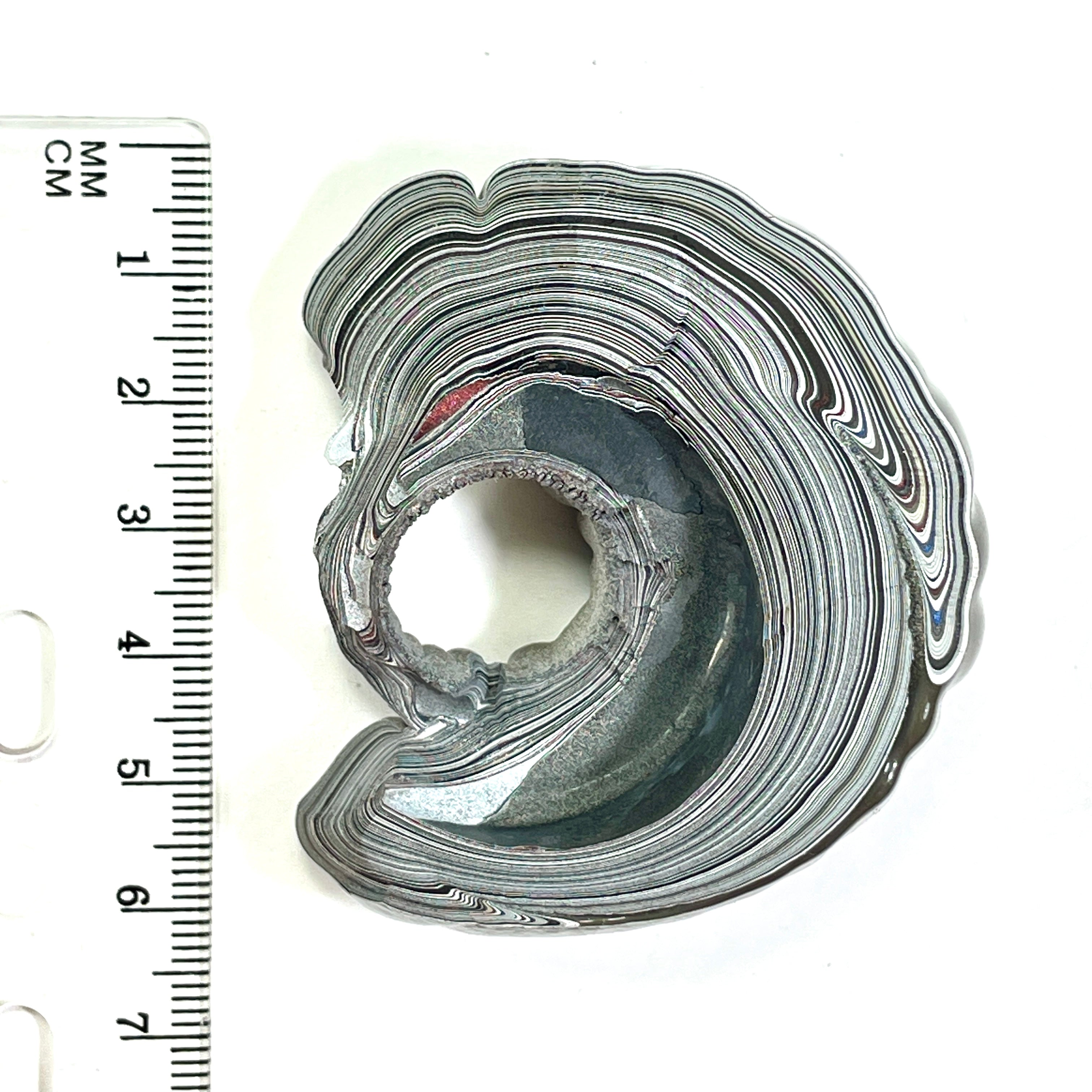 DVH Fordite Specimen Donut Buck Hole Polished Face Michigan Chv Frd Jp (6663) - DVHdesigns