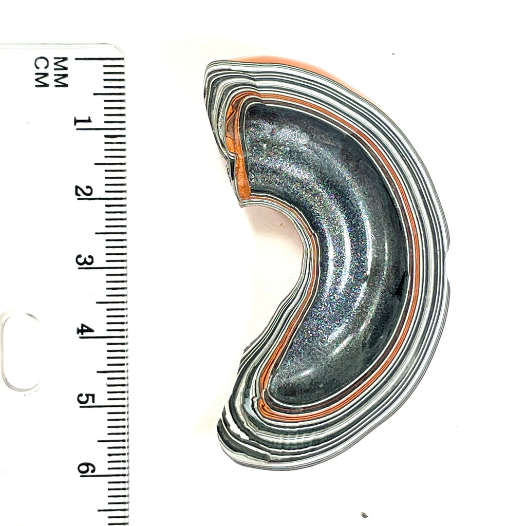DVH Fordite Specimen Joose Orange 1/2 Donut Buck Hole Polished Face Michigan (6670) - DVHdesigns