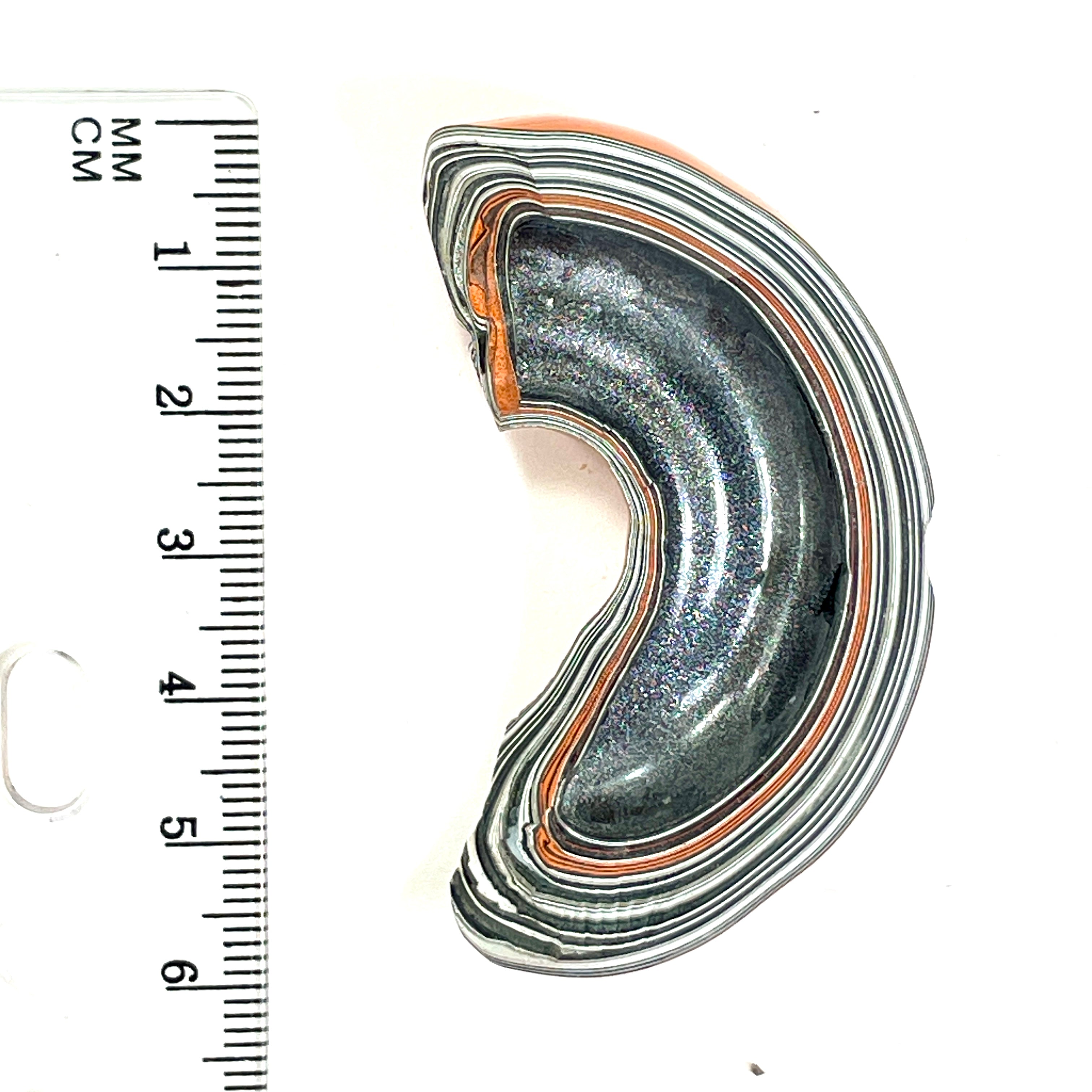 DVH Fordite Specimen Joose Orange 1/2 Donut Buck Hole Polished Face Michigan (6670) - DVHdesigns