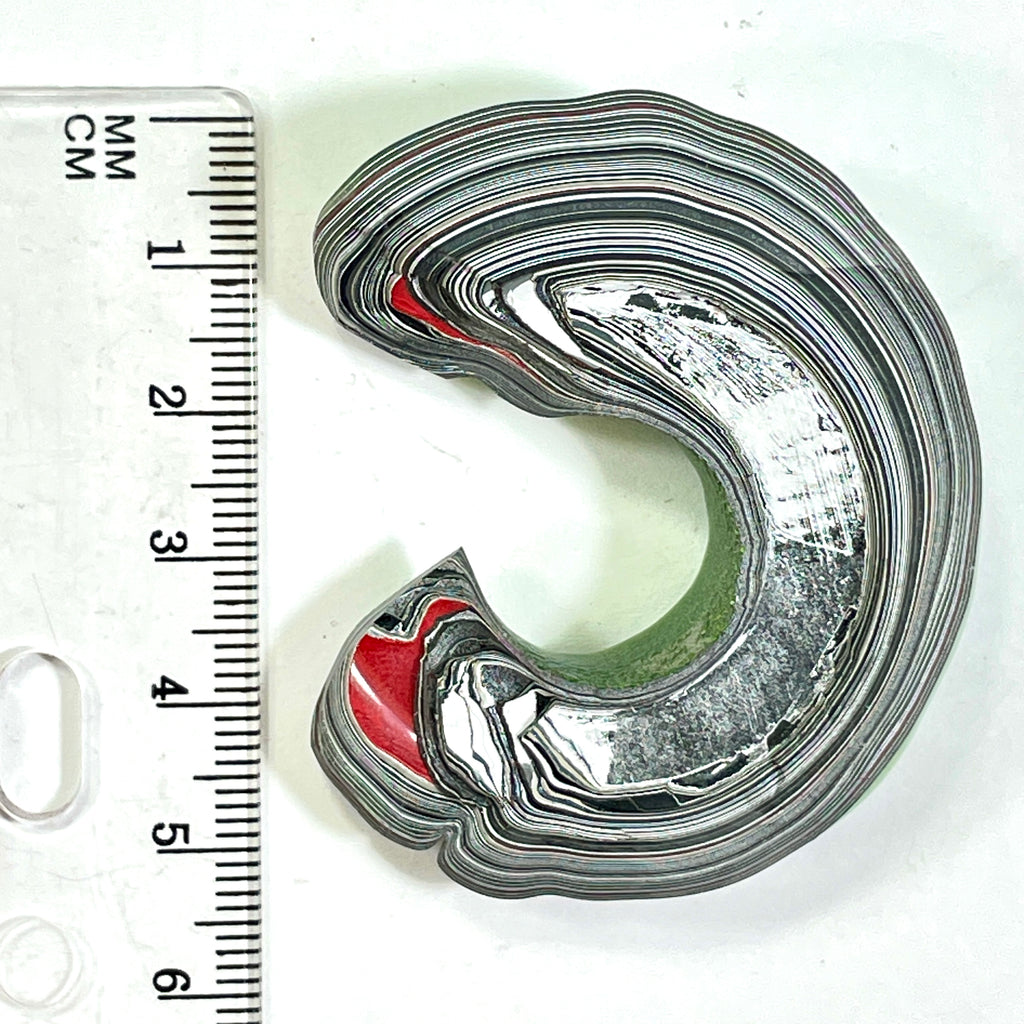 DVH Fordite Specimen 1/2 Donut Buck Hole Polished Face Michigan Chv Frd Jp (6673) - DVHdesigns