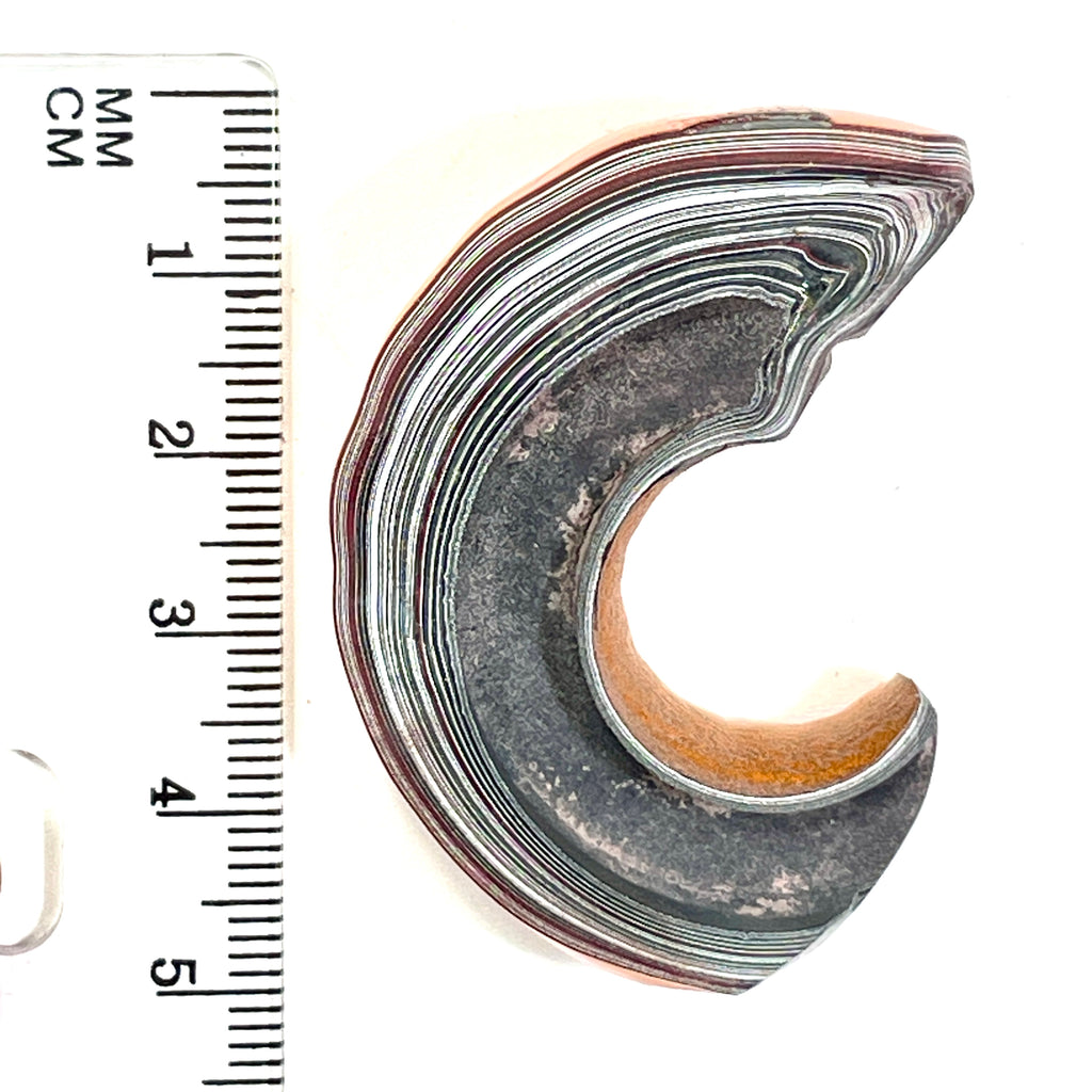 DVH Joose Orange Jeep Fordite Specimen 1/2 Donut Buck Hole Polished Face (6674) - DVHdesigns