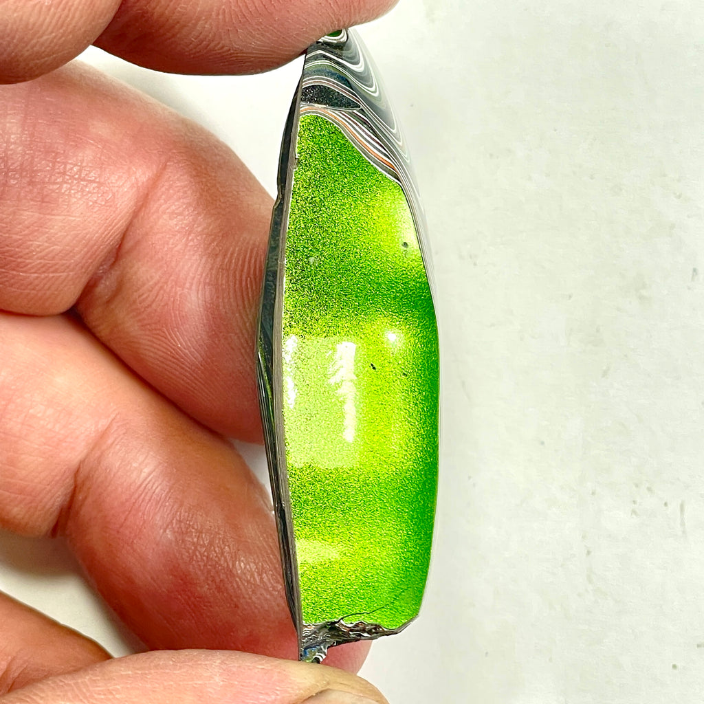 DVH Mojito Green Jeep Fordite Specimen Polished Face Michigan (6690)