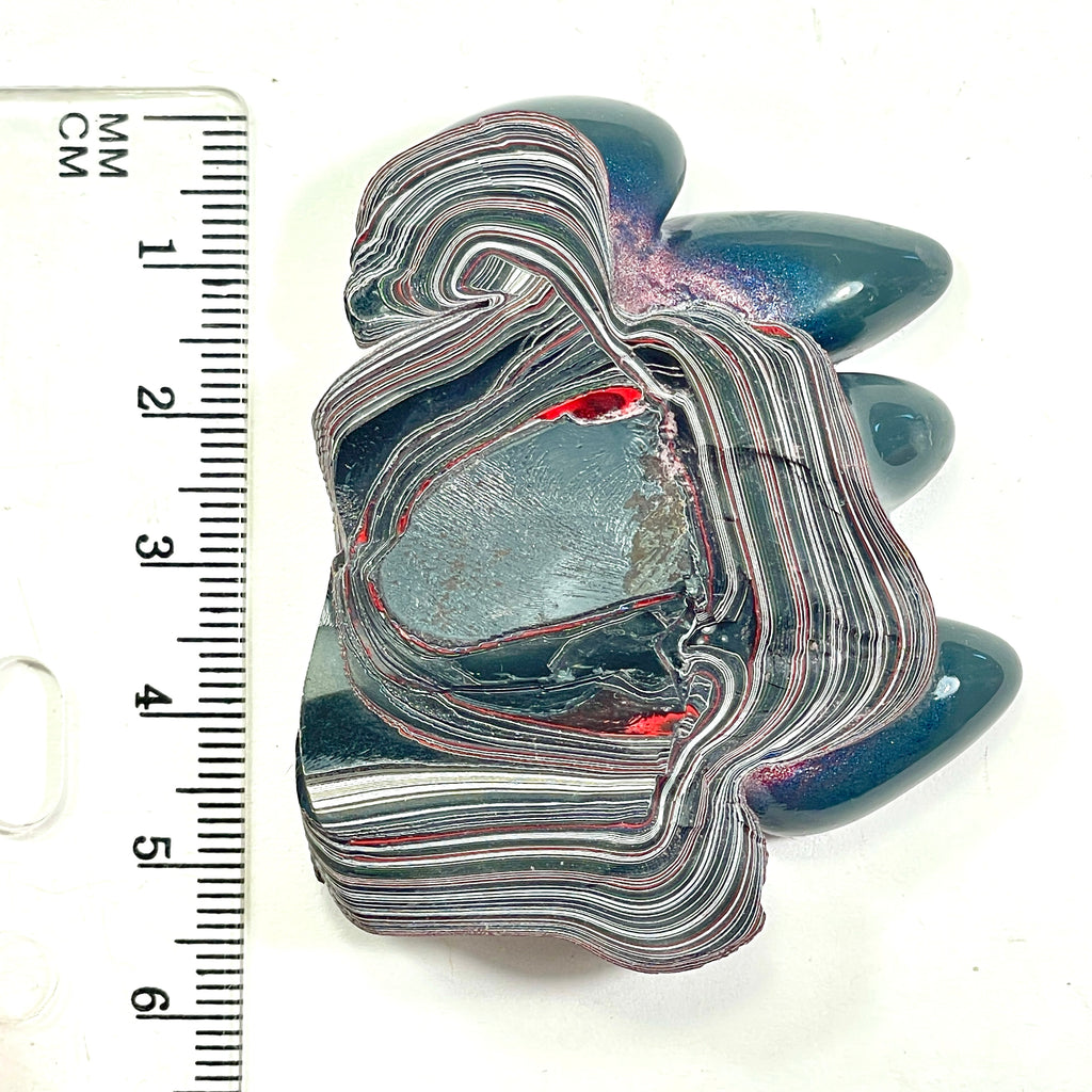 DVH Genuine Fordite Specimen Polished Face Michigan Chv Frd Jp (6691)