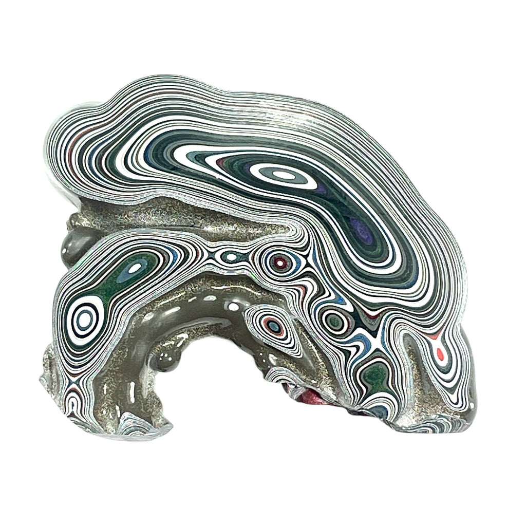 DVH Genuine Fordite Specimen Polished Face Michigan Chv Frd Jp (6694)