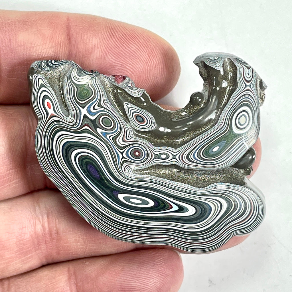 DVH Genuine Fordite Specimen Polished Face Michigan Chv Frd Jp (6694)