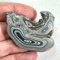DVH Genuine Fordite Specimen Polished Face Michigan Chv Frd Jp (6694)