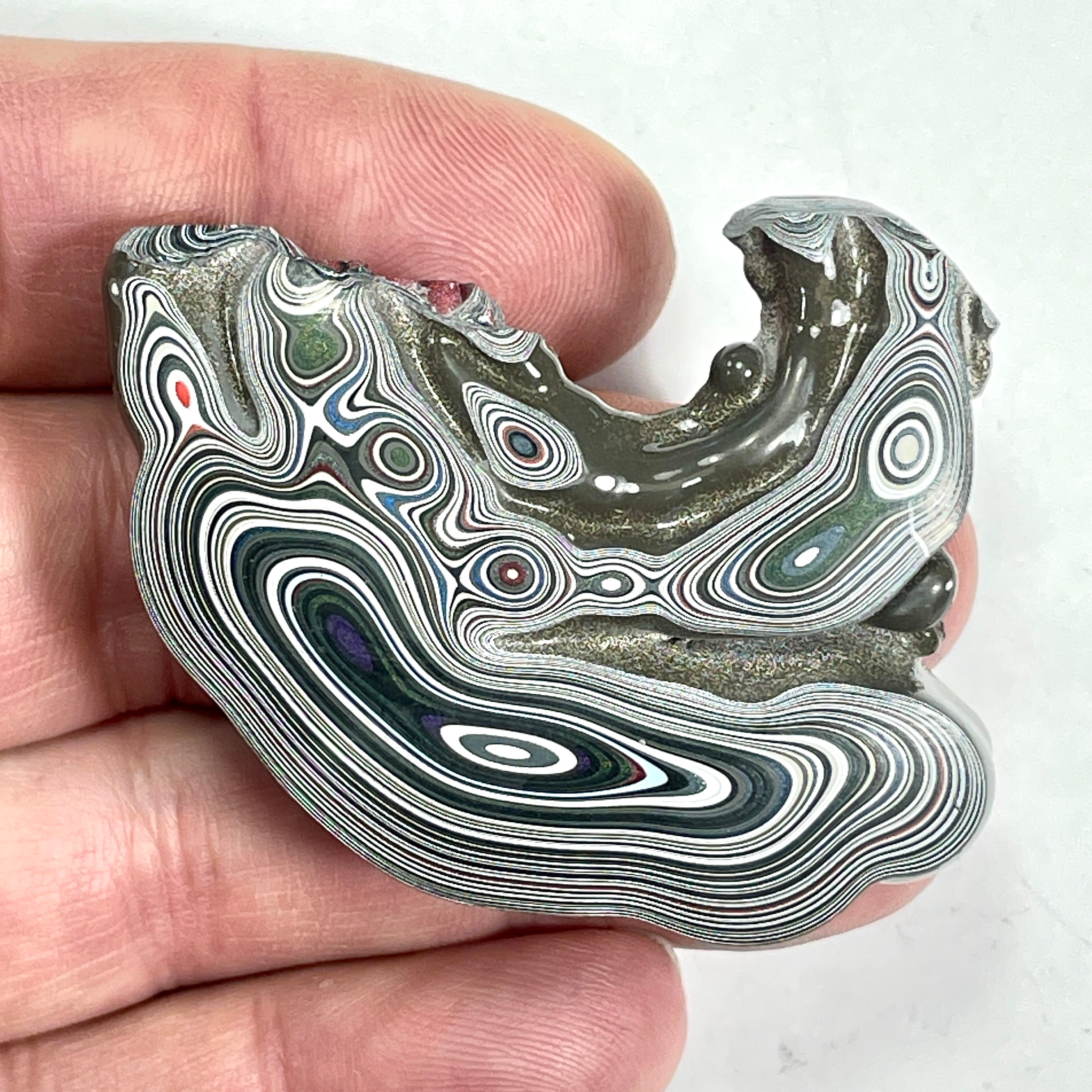 DVH Genuine Fordite Specimen Polished Face Michigan Chv Frd Jp (6694)