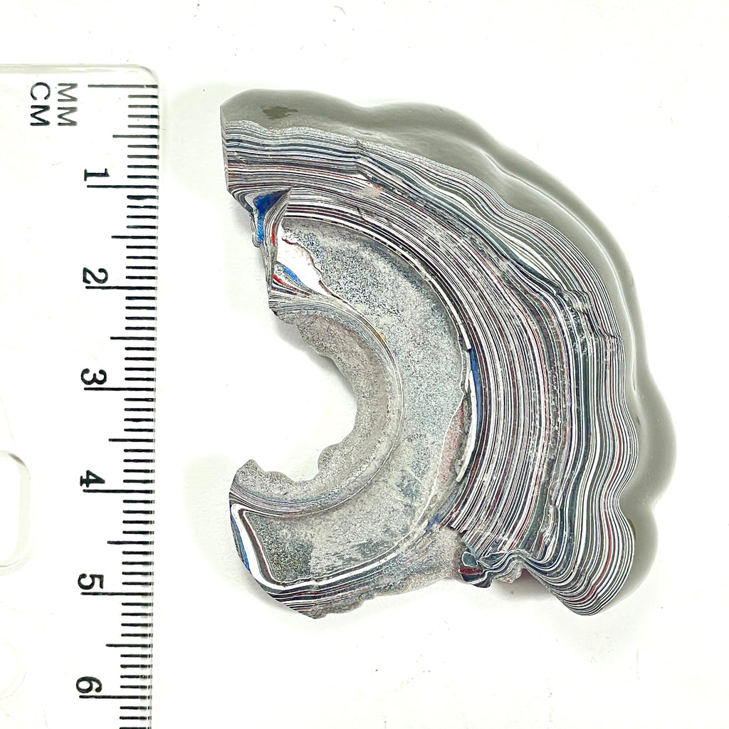 DVH Genuine Fordite Specimen Polished Face Michigan Chv Frd Jp (6694)