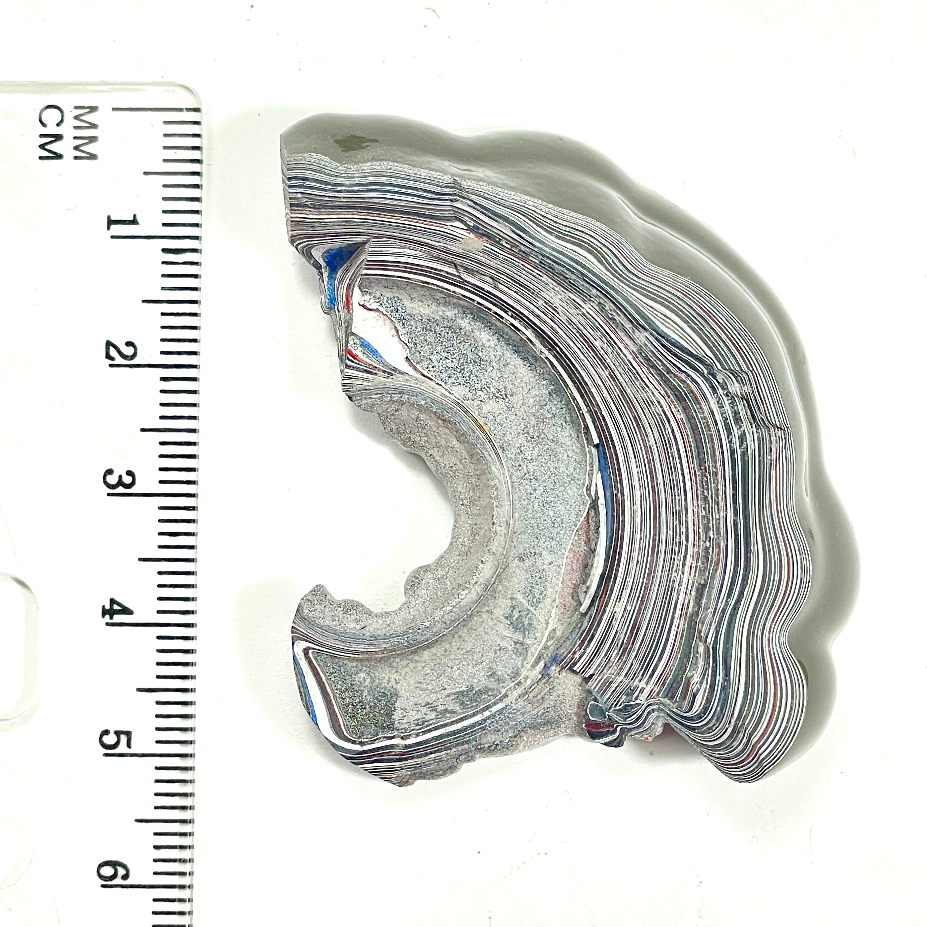 DVH Genuine Fordite Specimen Polished Face Michigan Chv Frd Jp (6694)