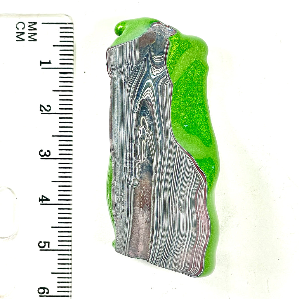 DVH Genuine Fordite Specimen Polished Face Michigan Chv Frd Jp (6695)