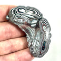 DVH Genuine Fordite Specimen Polished Face Michigan Chv Frd Jp (6696)
