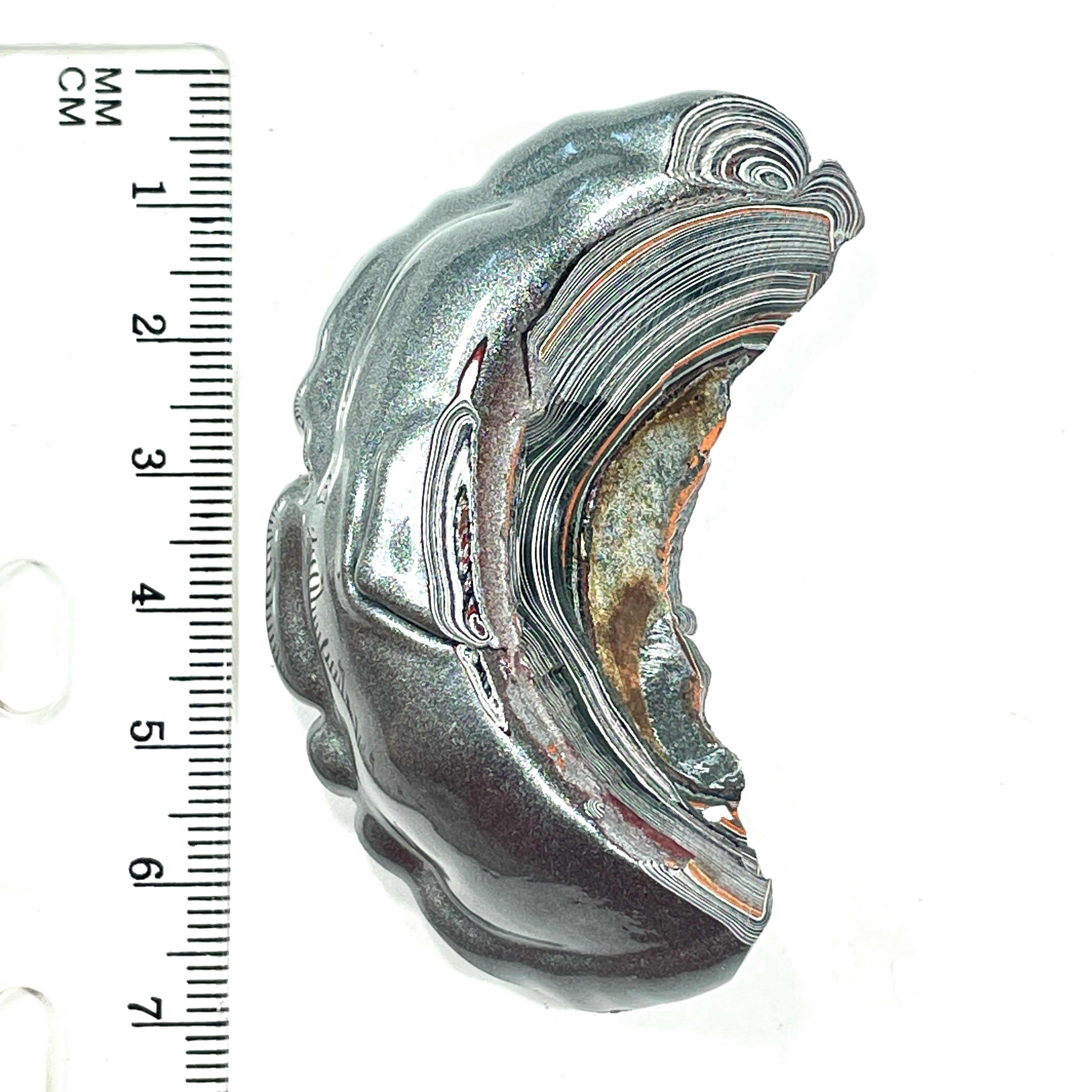DVH Genuine Fordite Specimen Polished Face Michigan Chv Frd Jp (6696)