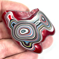 DVH Genuine Fordite Specimen Polished Face Michigan Chv Frd Jp (6697)