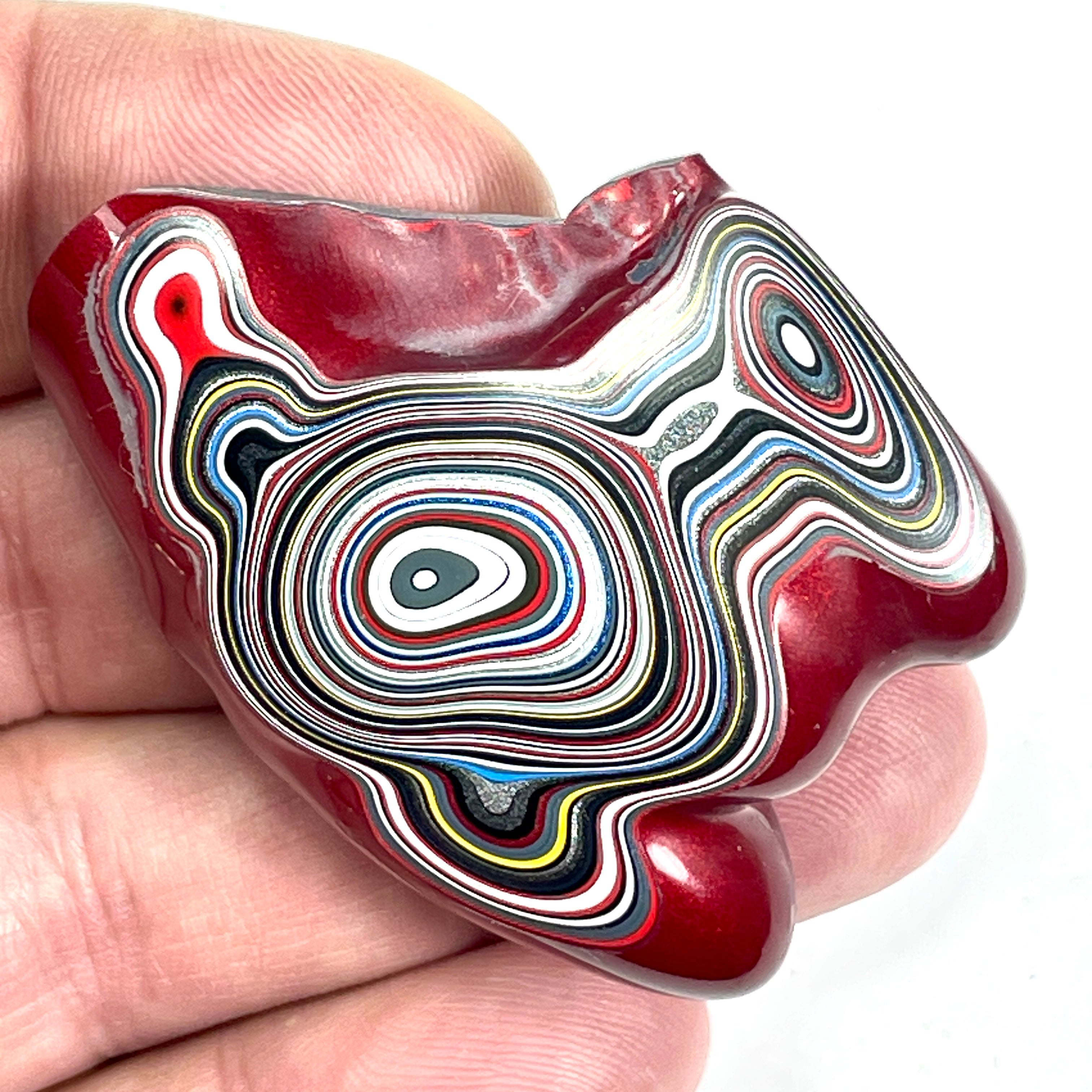 DVH Genuine Fordite Specimen Polished Face Michigan Chv Frd Jp (6697)