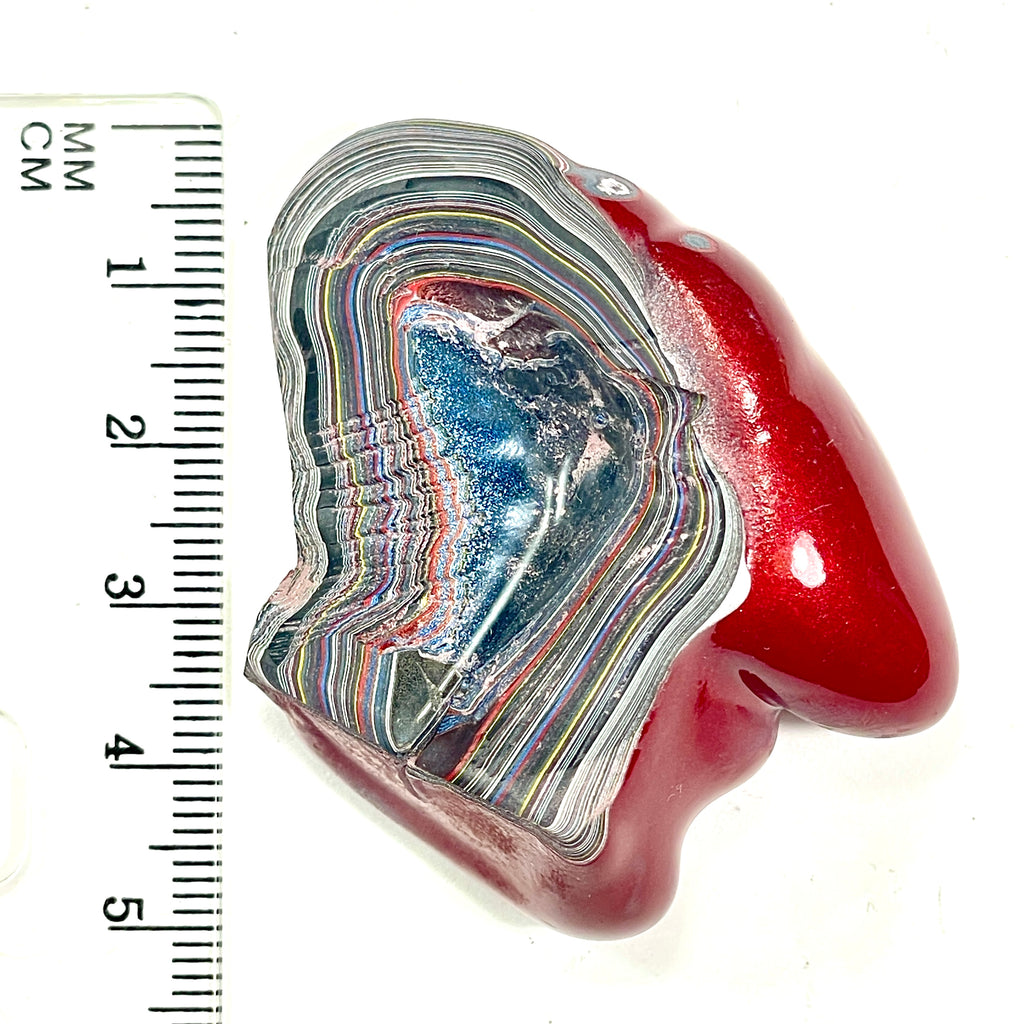 DVH Genuine Fordite Specimen Polished Face Michigan Chv Frd Jp (6697)