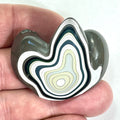 DVH Genuine Fordite Specimen Polished Face Michigan Chv Frd Jp (6698)