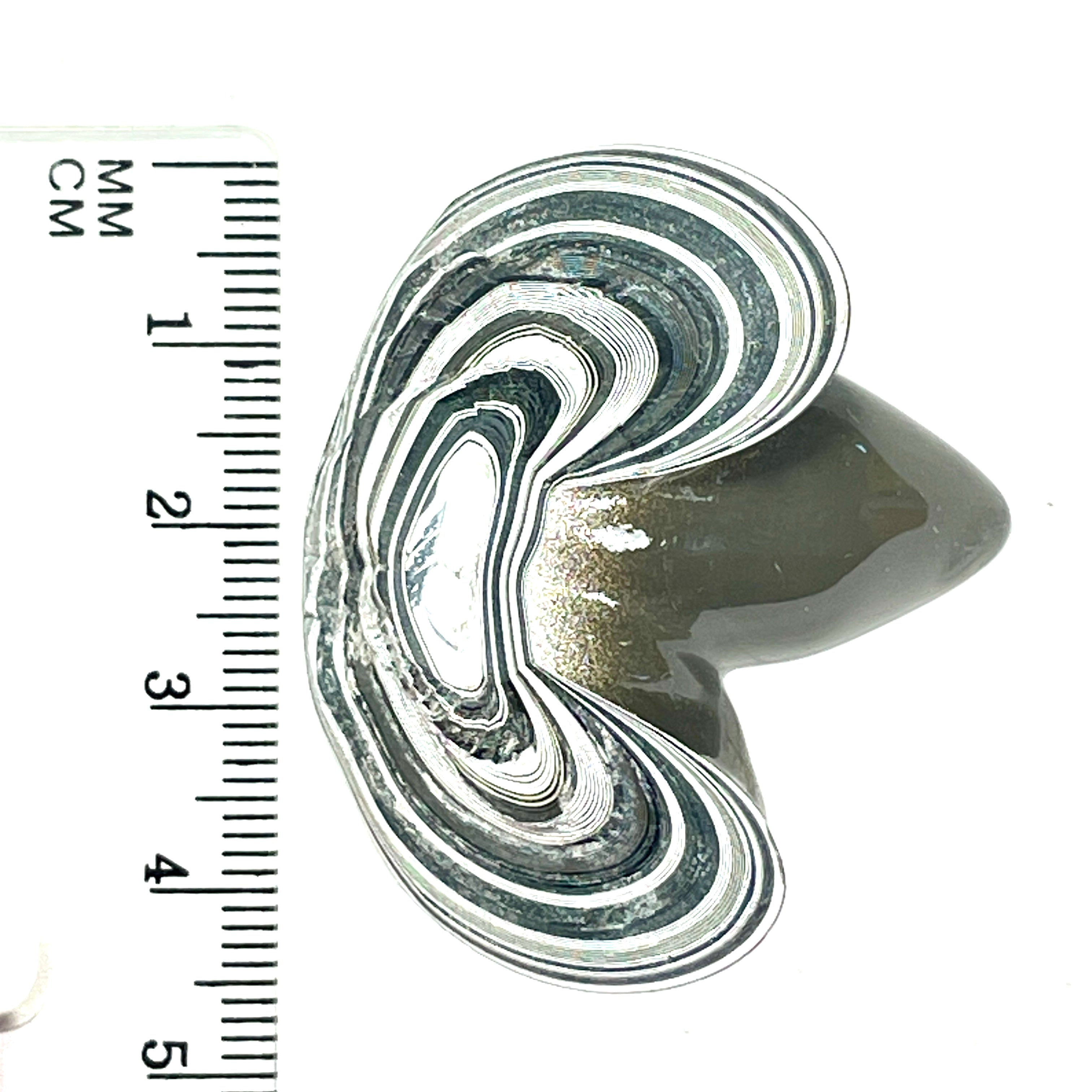 DVH Genuine Fordite Specimen Polished Face Michigan Chv Frd Jp (6698)
