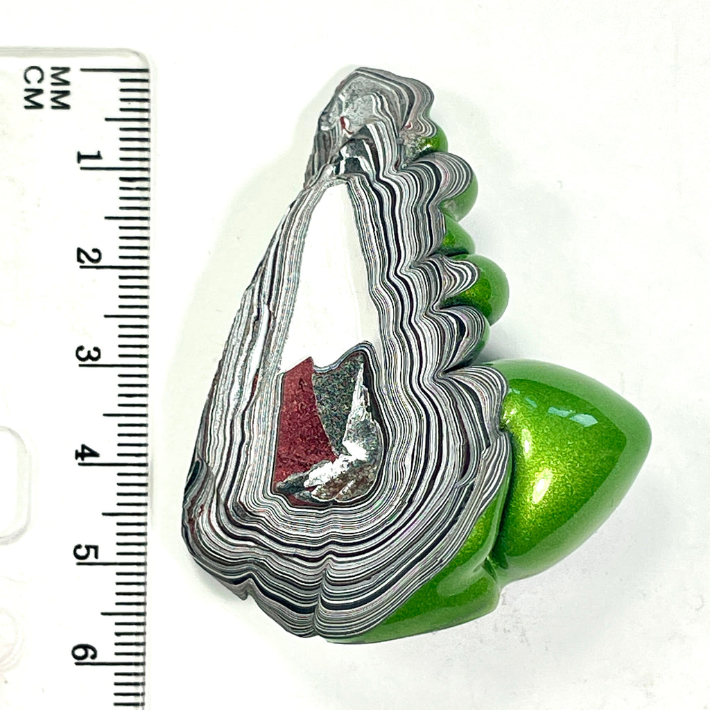DVH Mojito Green Jp Fordite Grasshopper Specimen Polished Face Michigan (6699)