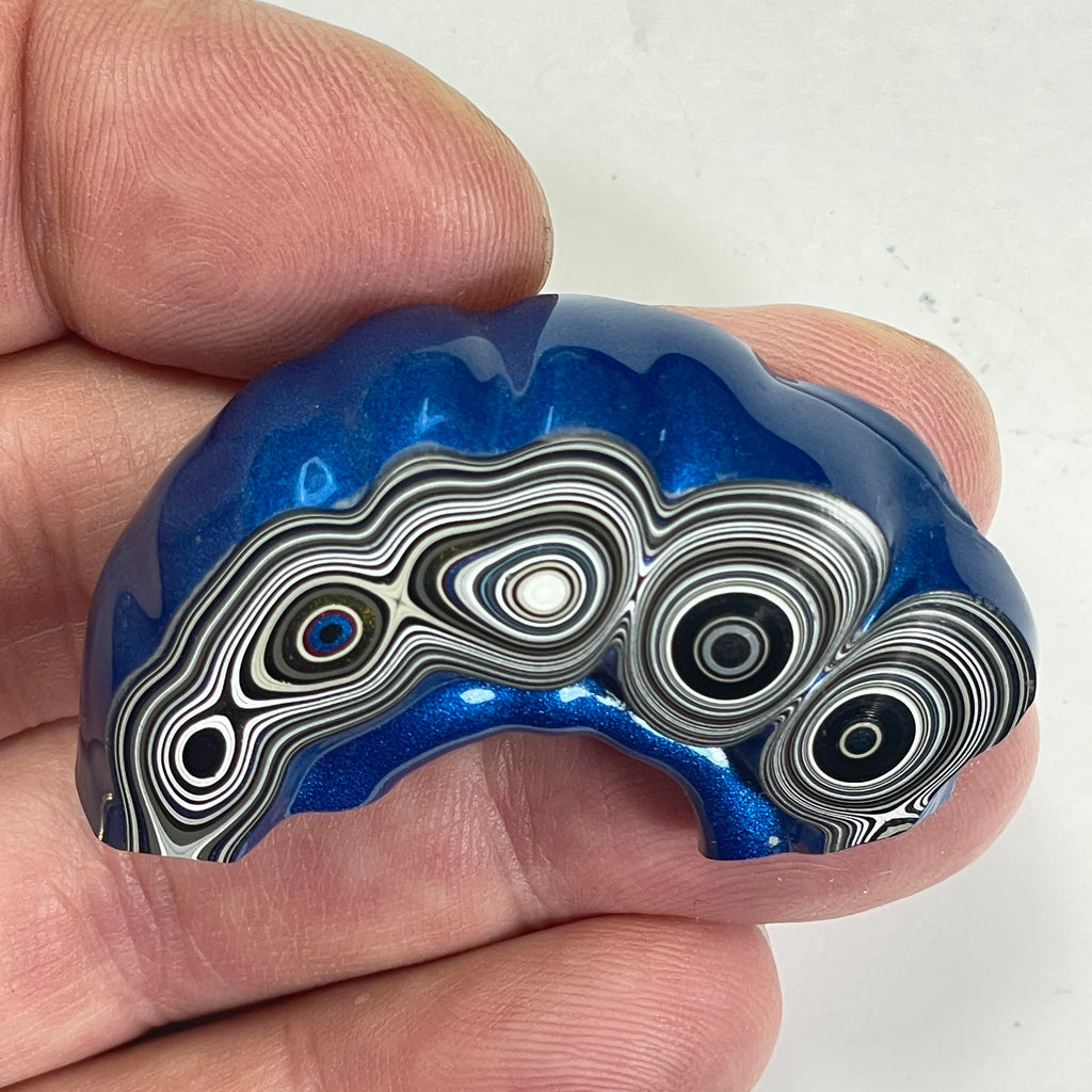 DVH Blue Fordite Specimen Polished Face Michigan Chv Frd Jp (6693)