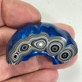 DVH Blue Fordite Specimen Polished Face Michigan Chv Frd Jp (6693)