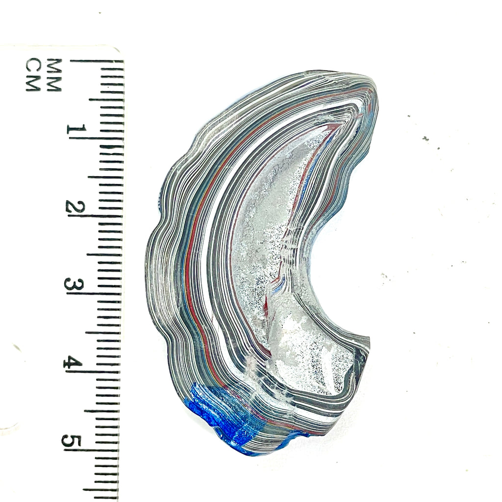 DVH Blue Fordite Specimen Polished Face Michigan Chv Frd Jp (6693)