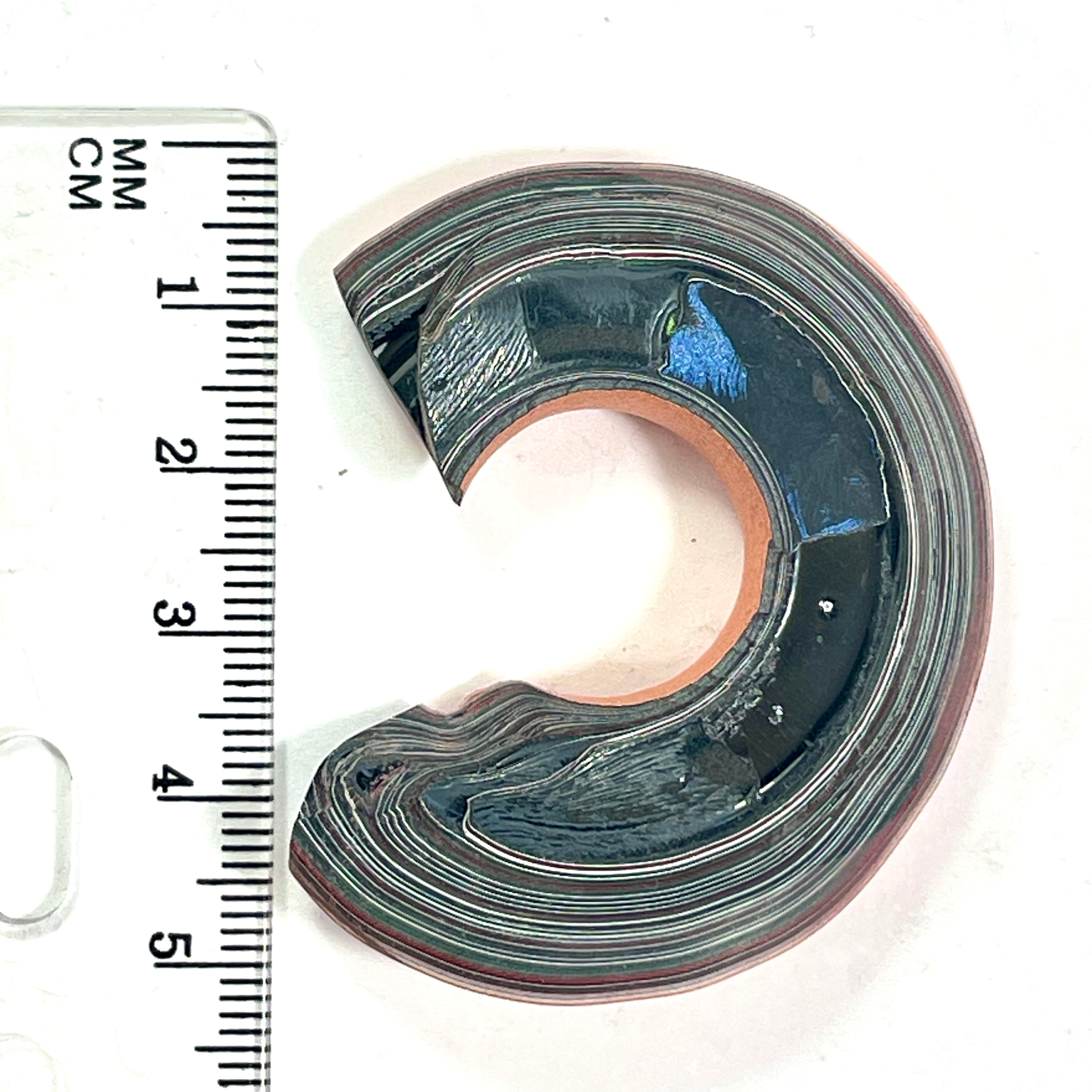 DVH Joose Orange Jp Fordite 1/2 Donut Specimen Polished Face Michigan (6702)
