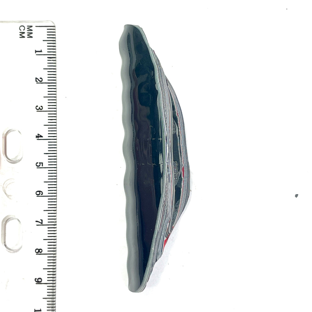 DVH Genuine Fordite Specimen Polished Face Michigan Chv Frd Jp (6703)