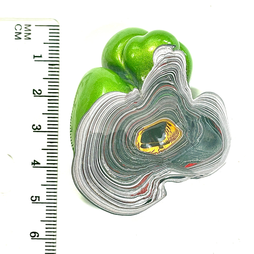 DVH Mojito Green Jp Fordite Specimen Polished Face Michigan (6705)
