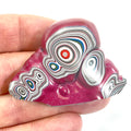 DVH Tuscadero Pink Jp Fordite Specimen Polished Face Michigan (6707)
