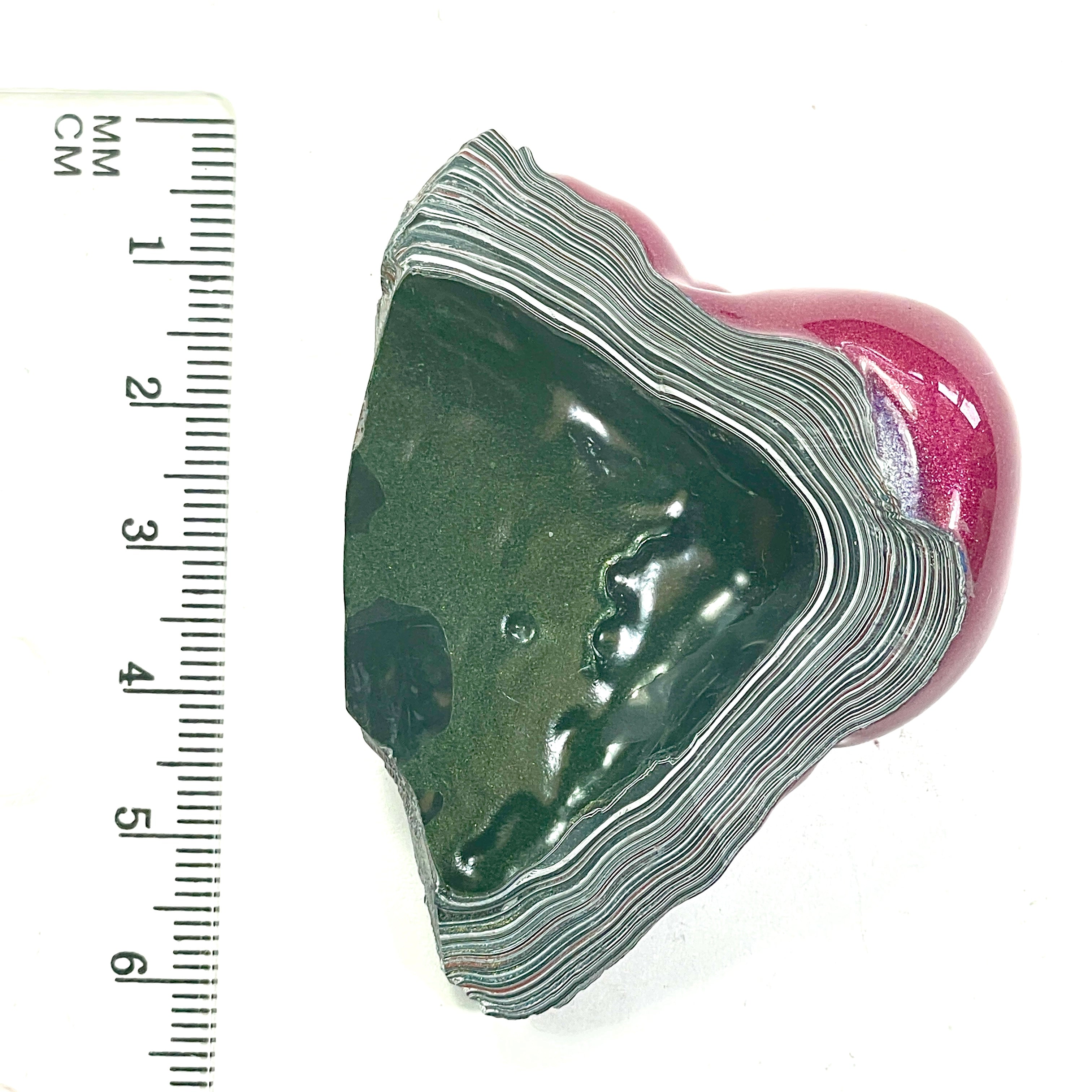 DVH Tuscadero Pink Jp Fordite Specimen Polished Face Michigan (6707)
