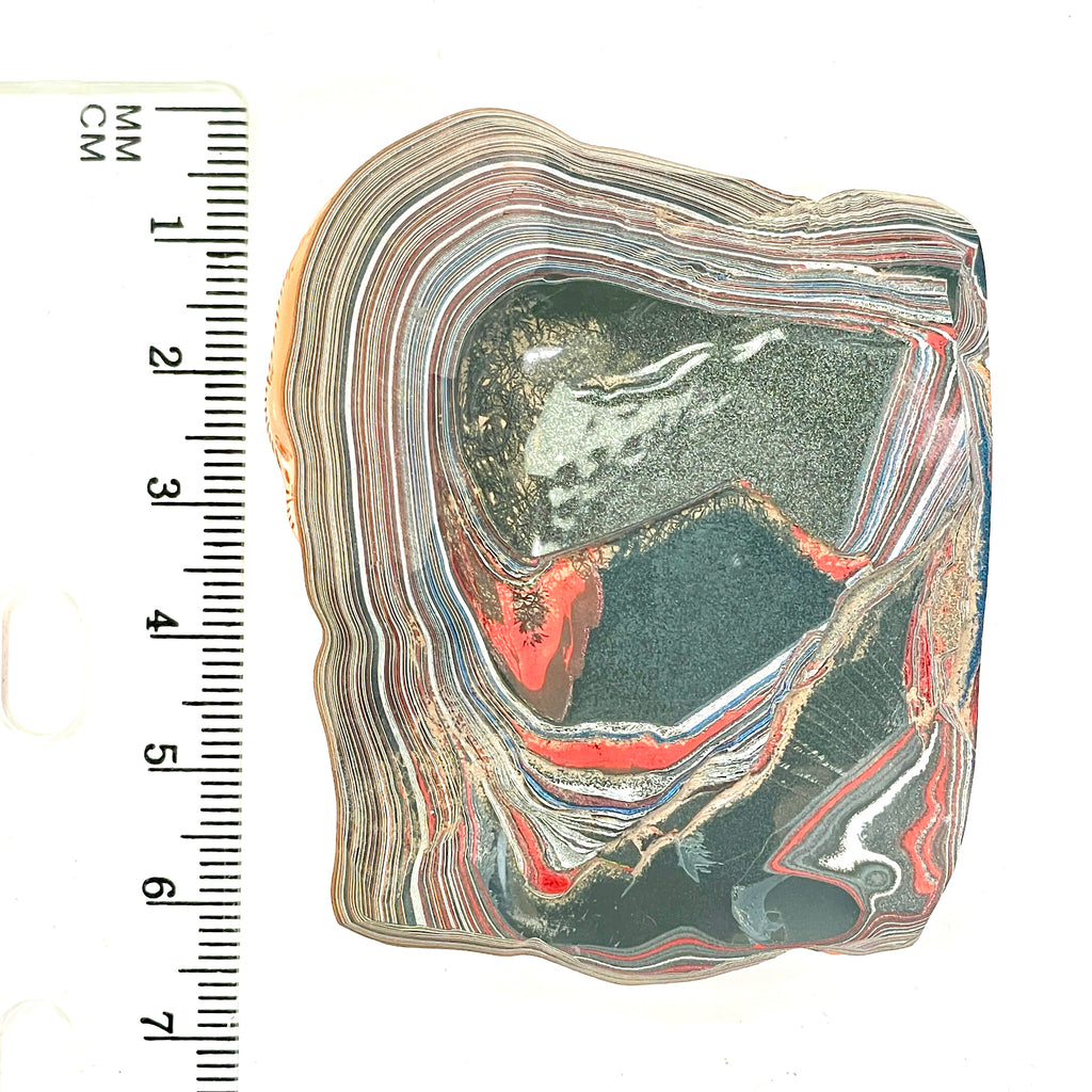 DVH Joose Orange Jp Fordite Specimen Polished Face Michigan (6708)