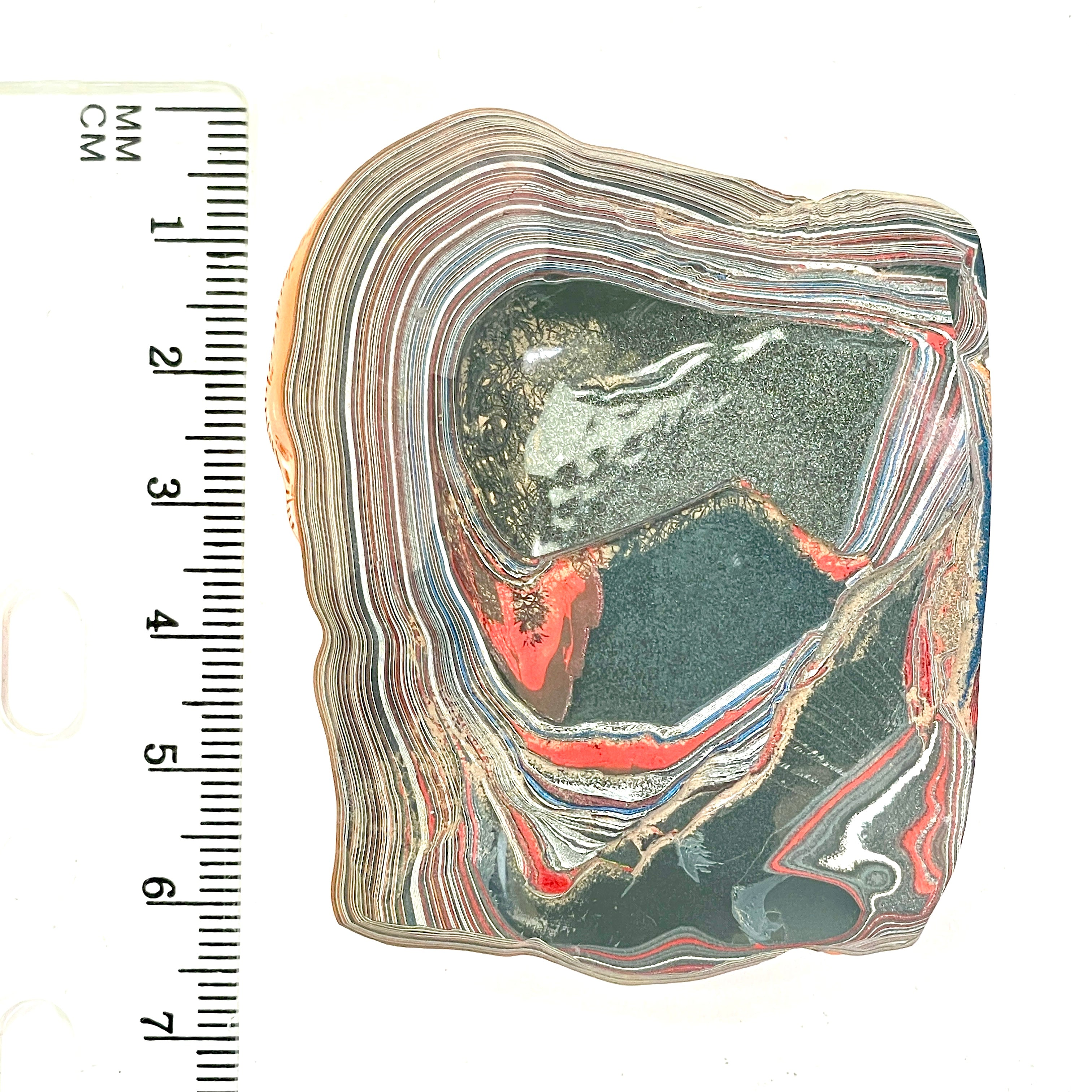 DVH Joose Orange Jp Fordite Specimen Polished Face Michigan (6708)