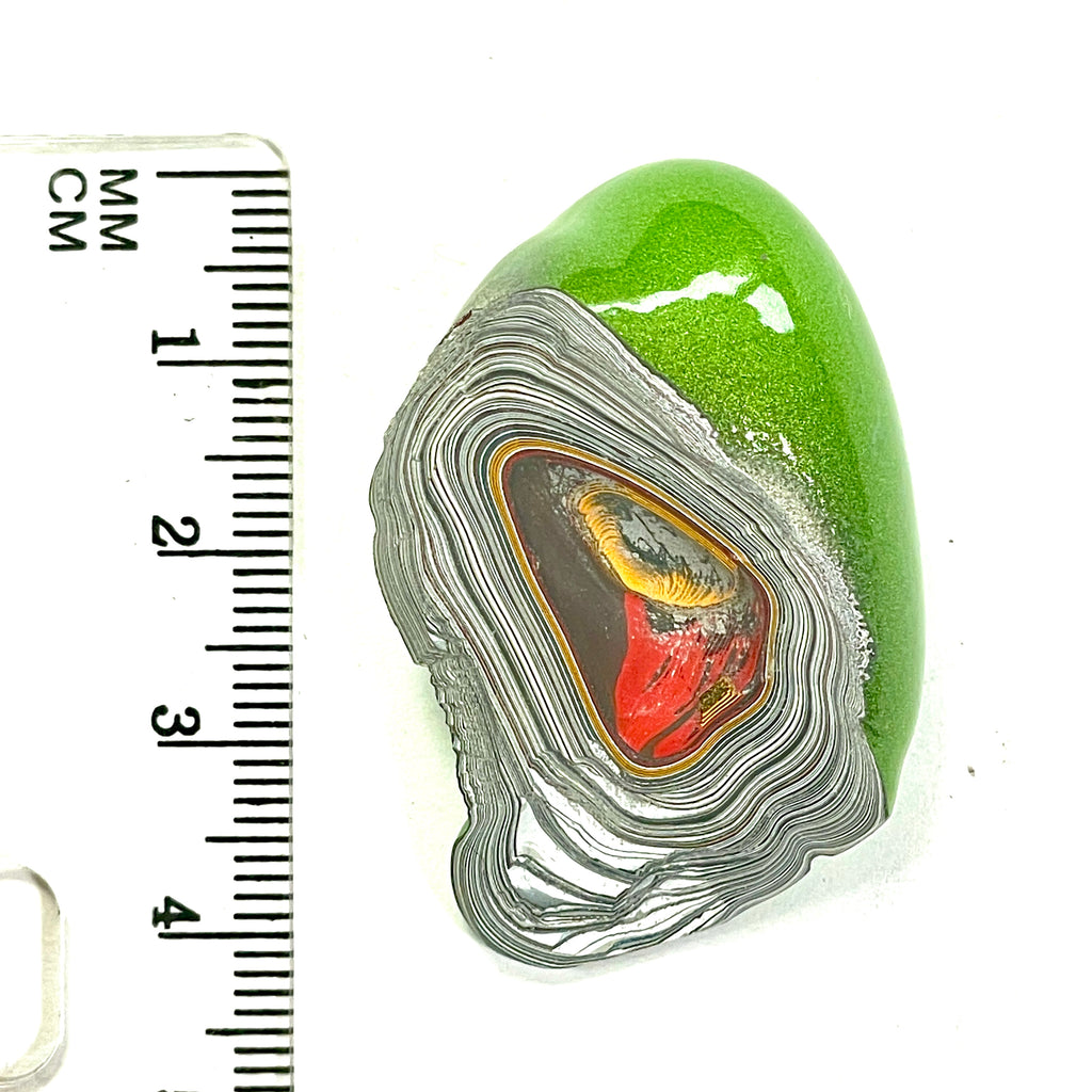 DVH Mojito Green Jp Fordite Specimen Polished Face Michigan (6709)