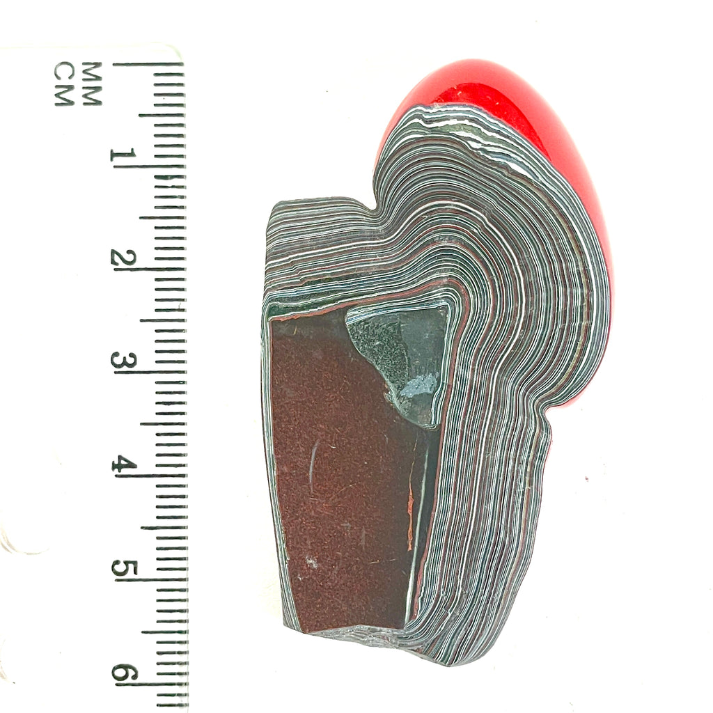 DVH Genuine Red Fordite Specimen Polished Face Michigan Chv Frd Jp (6710)