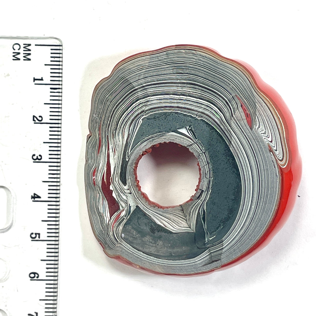 DVH Orange Fordite Specimen Donut Buck Hole Polished Face Chv Frd Jp (6714)