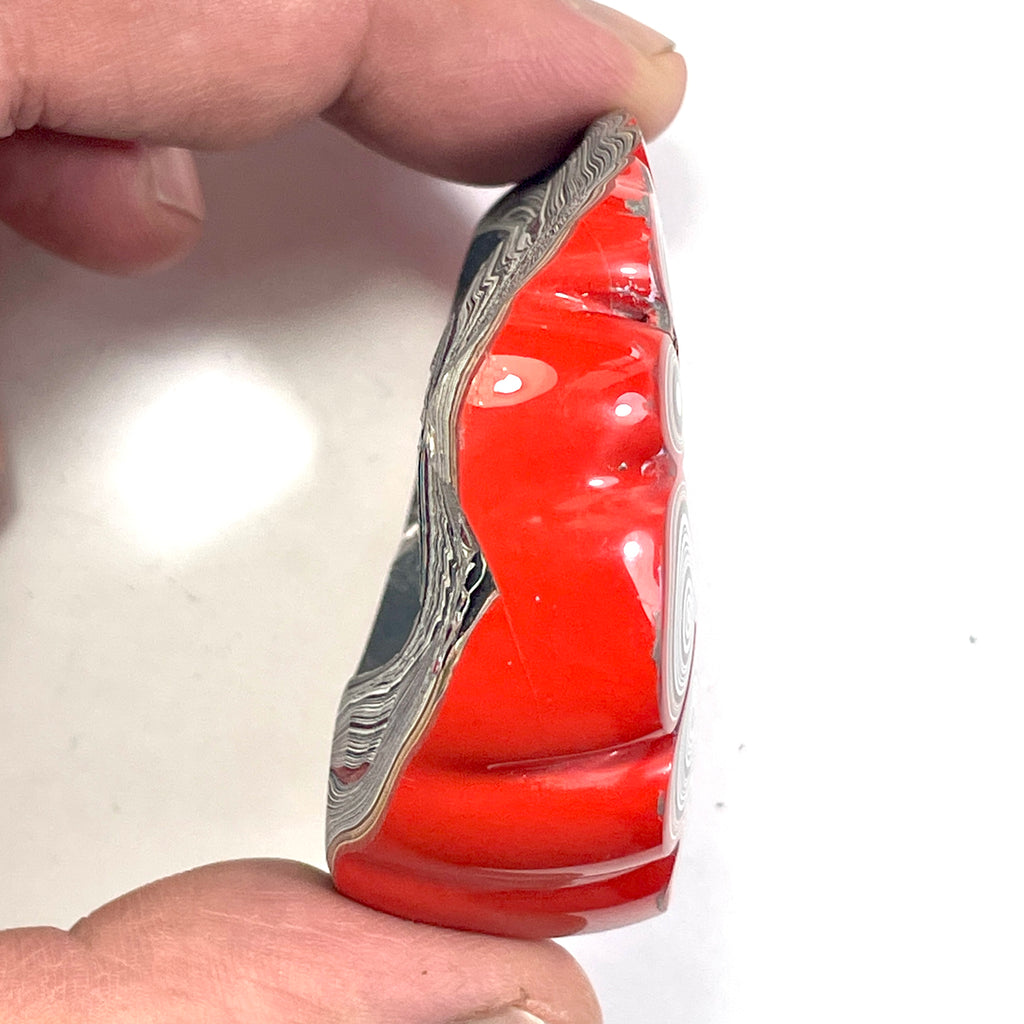DVH Orange Fordite Specimen Donut Buck Hole Polished Face Chv Frd Jp (6714)