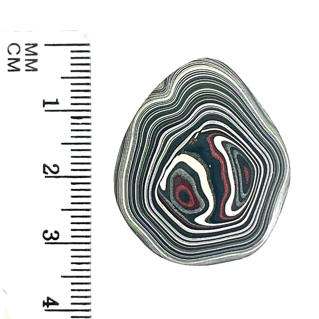 DVH Rare Michigan Fordite Hex Bolt Cap Cabochon Chv Frd Jp 30x26x6mm (6753)
