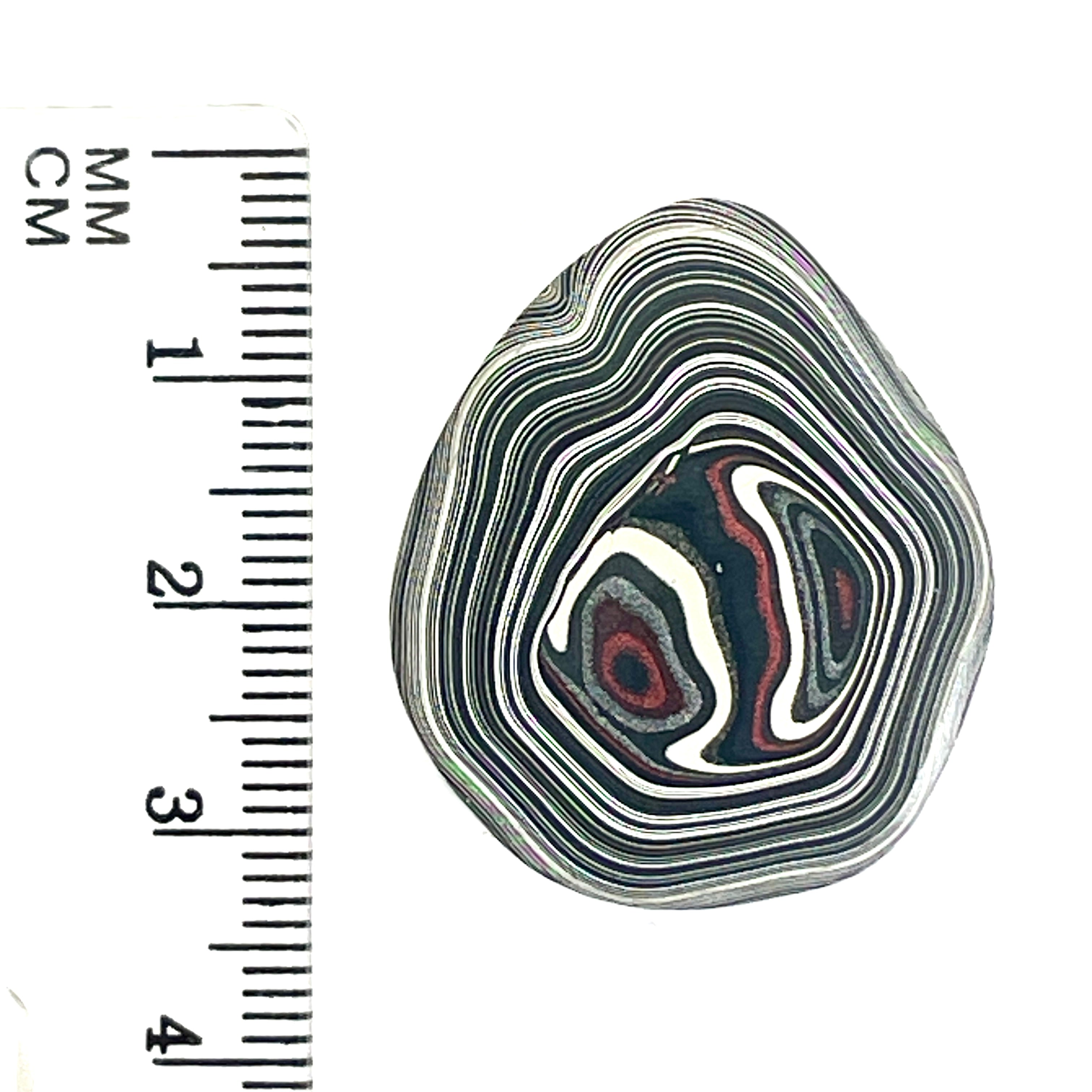 DVH Rare Michigan Fordite Hex Bolt Cap Cabochon Chv Frd Jp 30x26x6mm (6753)