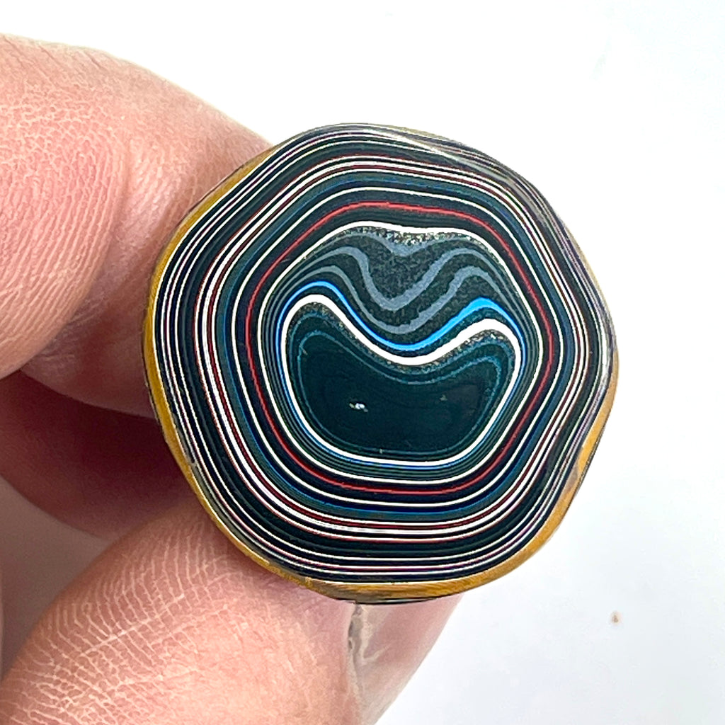 DVH Rare Michigan Fordite Hex Bolt Cap Stalactite Cabochon 24x26x25mm (6757)
