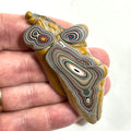 DVH Jp Goldilocks Fordite Genuine Michigan Polished Face Specimen (6801)
