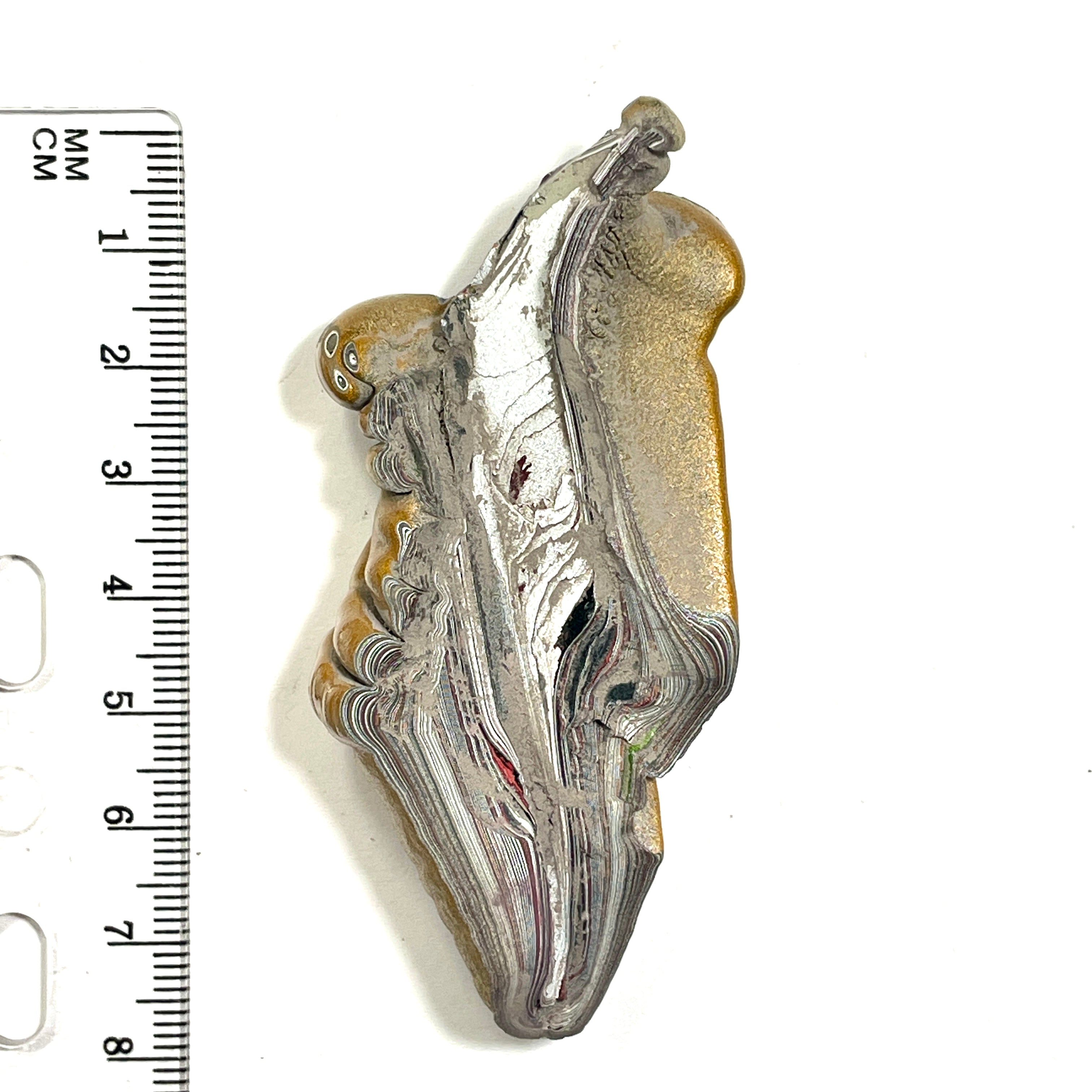 DVH Jp Goldilocks Fordite Genuine Michigan Polished Face Specimen (6801)