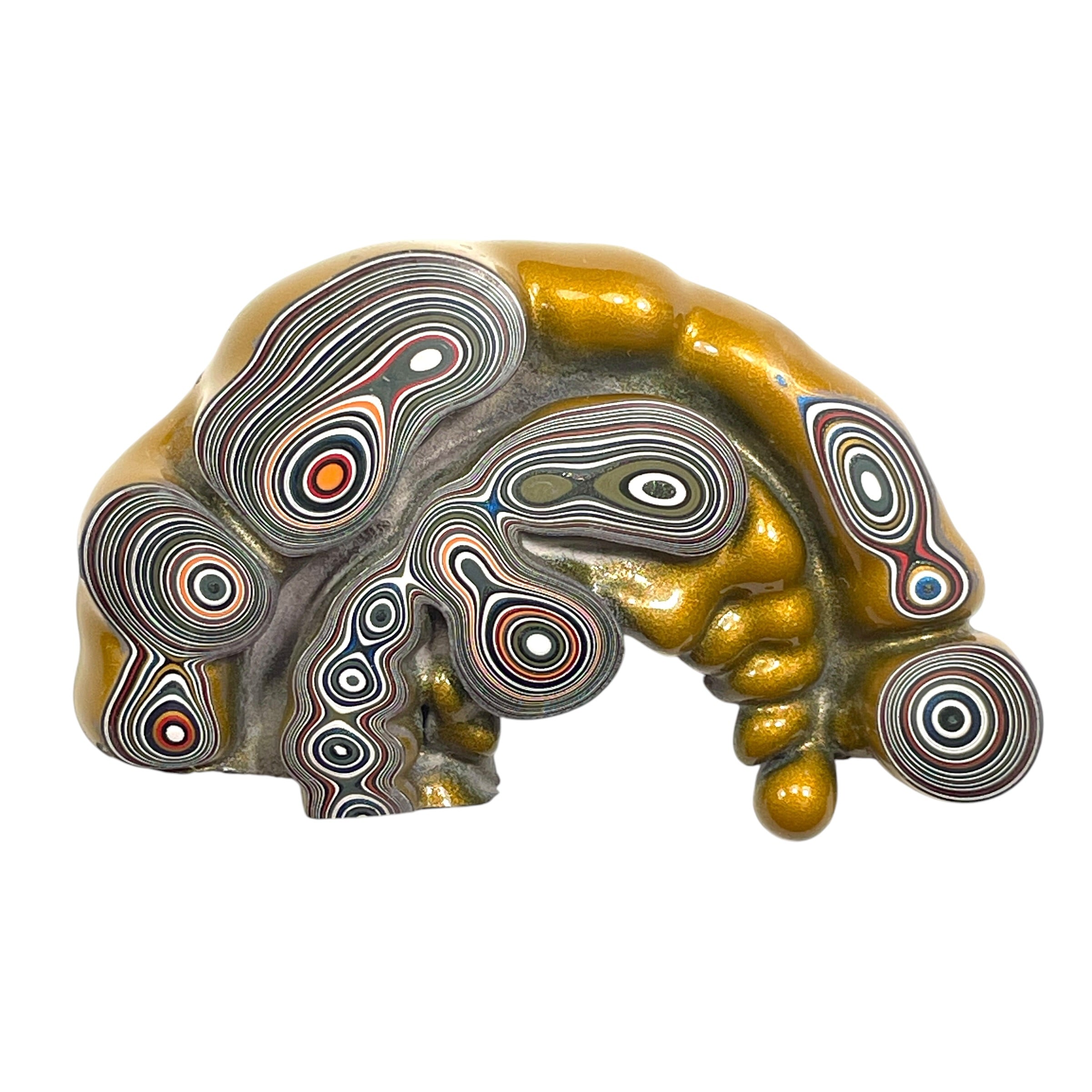 DVH Jp Goldilocks Fordite Genuine Michigan Polished Face Specimen (6802)