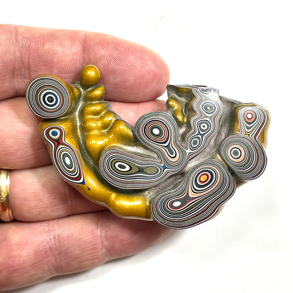 DVH Jp Goldilocks Fordite Genuine Michigan Polished Face Specimen (6802)