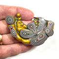 DVH Jp Goldilocks Fordite Genuine Michigan Polished Face Specimen (6802)