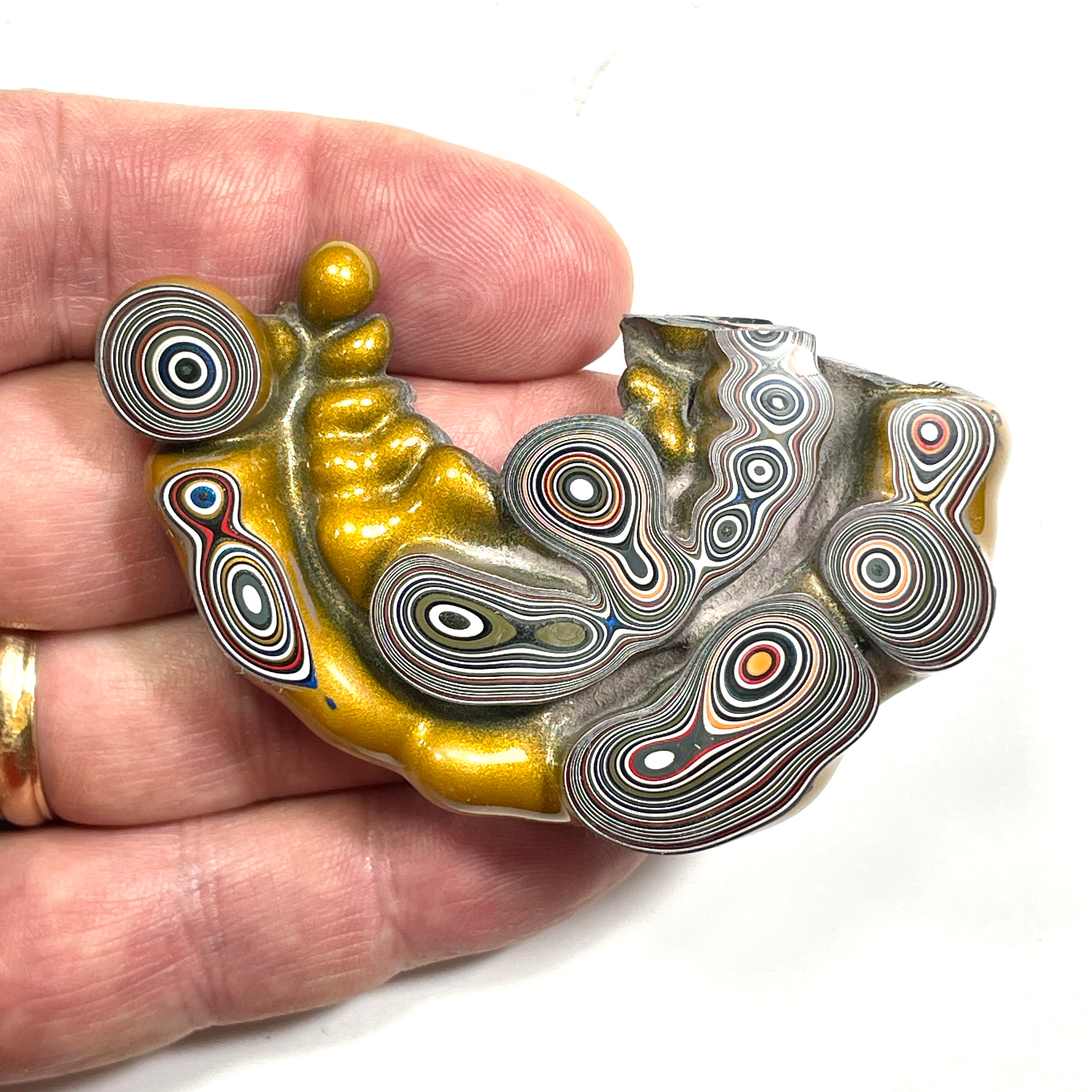 DVH Jp Goldilocks Fordite Genuine Michigan Polished Face Specimen (6802)