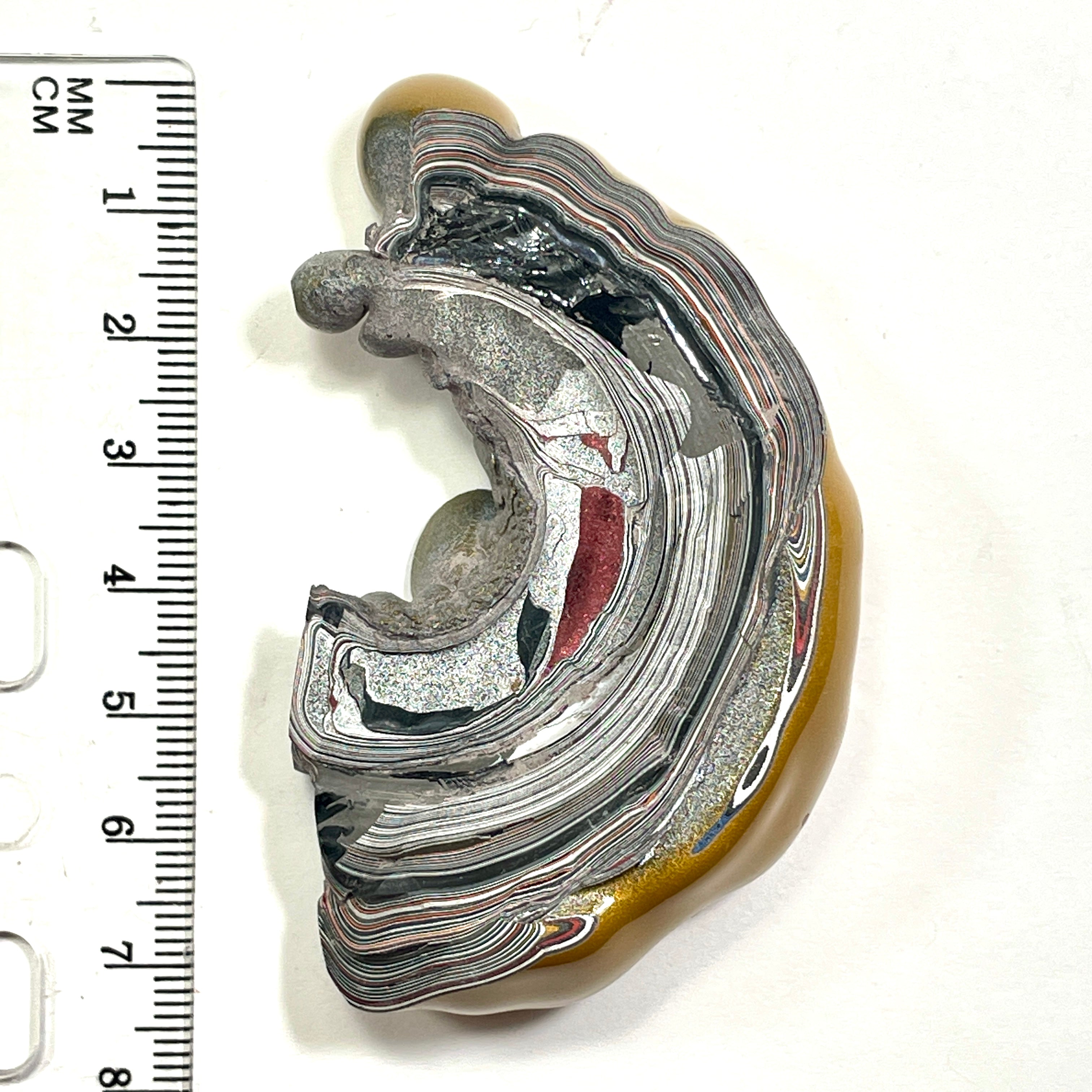 DVH Jp Goldilocks Fordite Genuine Michigan Polished Face Specimen (6802)