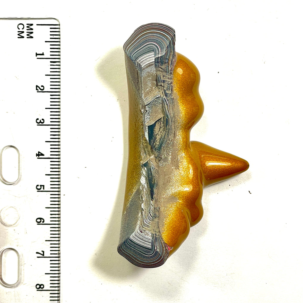 DVH Jp Goldilocks Fordite Genuine Michigan Polished Face Specimen (6803)