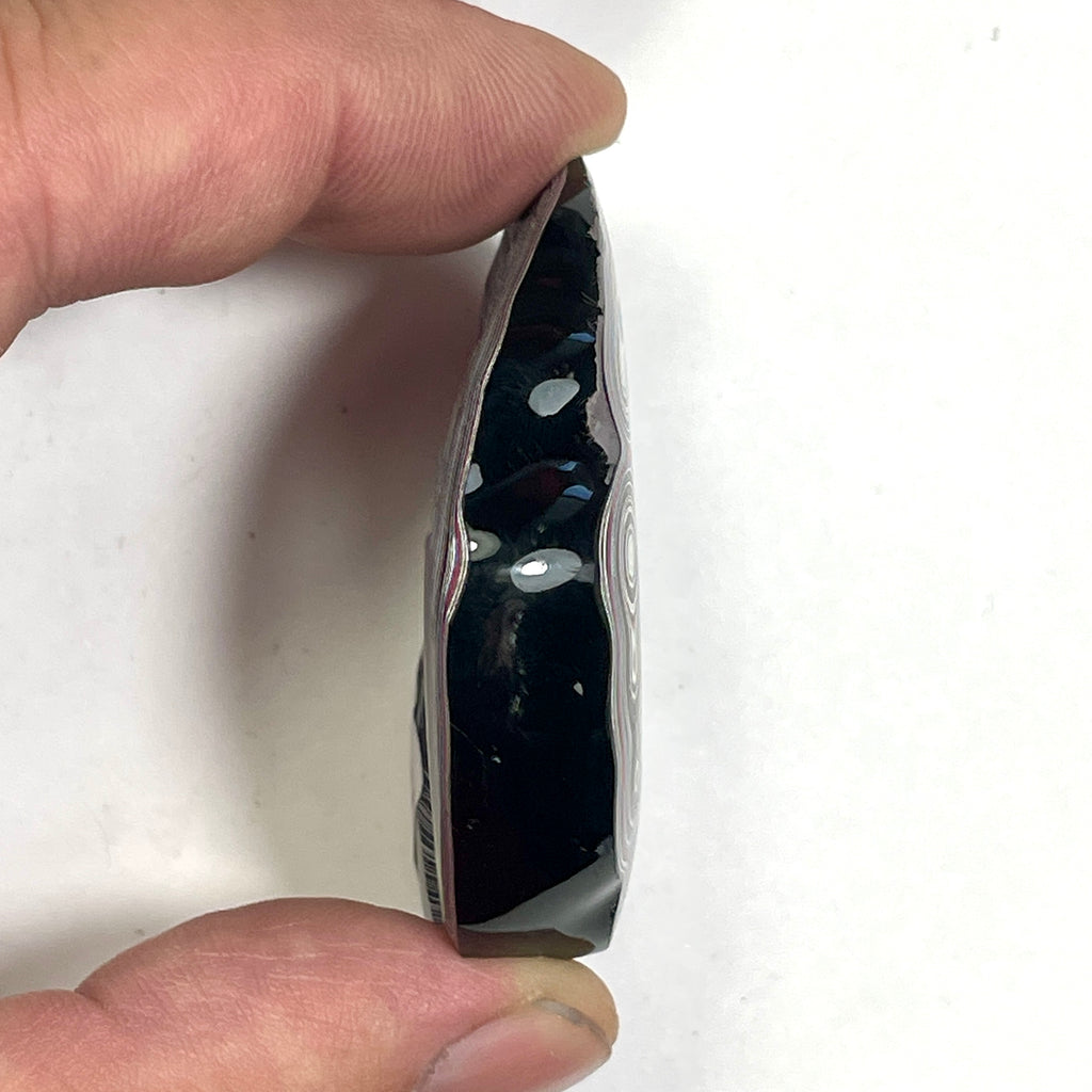 DVH Fordite Specimen Donut Buck Hole Polished Face Chv Frd Jp (6806)