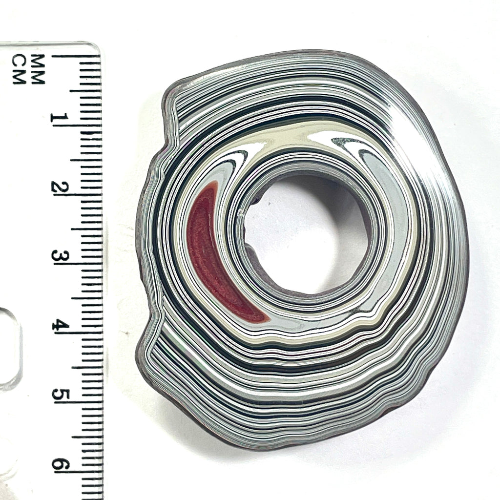 DVH Rare Michigan Jp Tuscadero Pink Fordite Buck Hole Donut Bead Pendant 50mm rd x12 (6834)